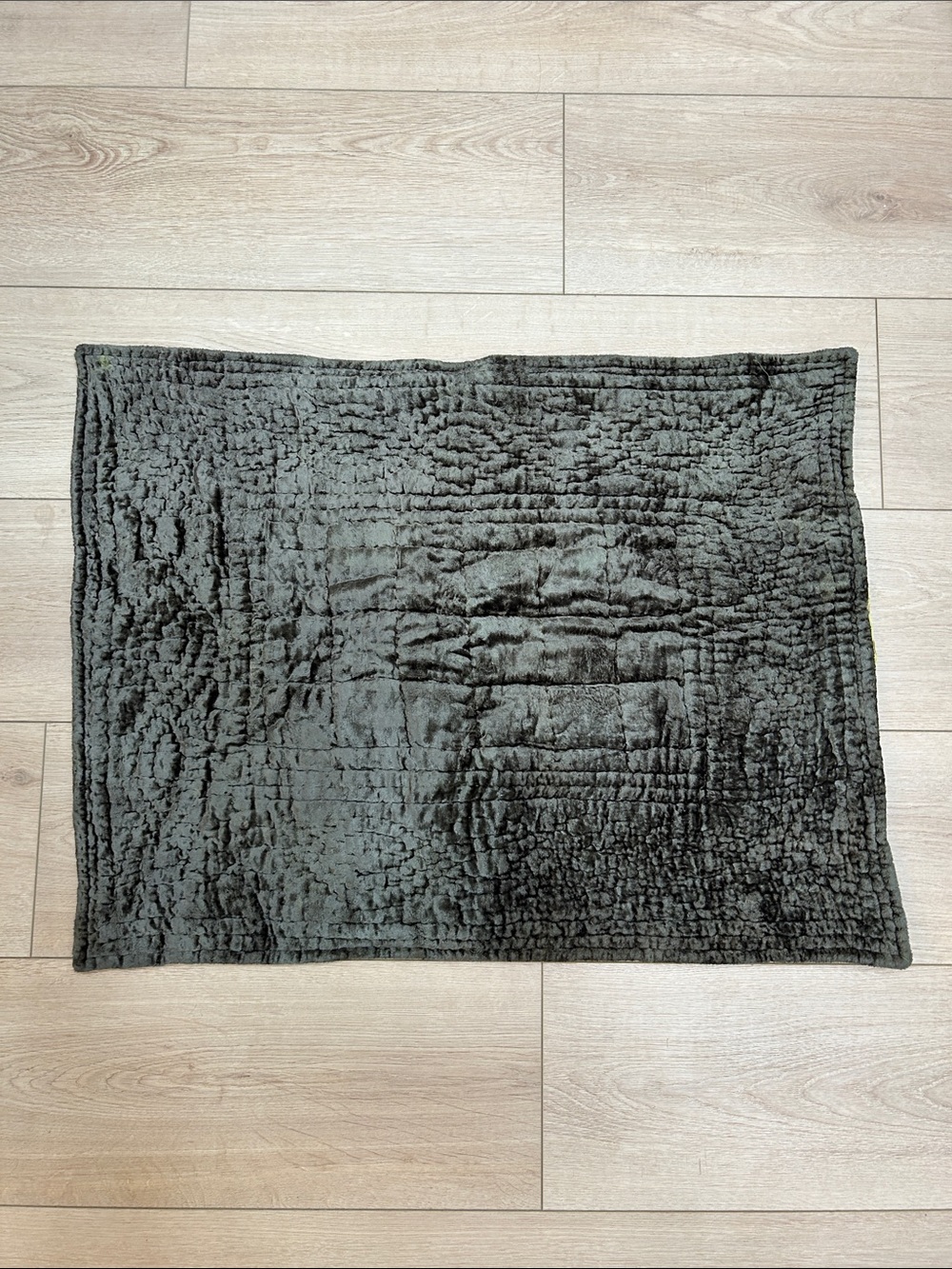 Pine Cone Hill Velvet Standard Sham